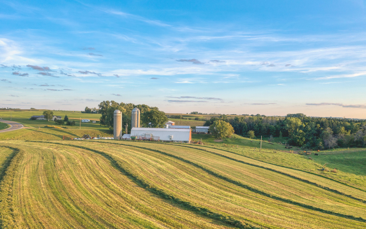 What to Look for When Buying Farmland in Southeast Minnesota